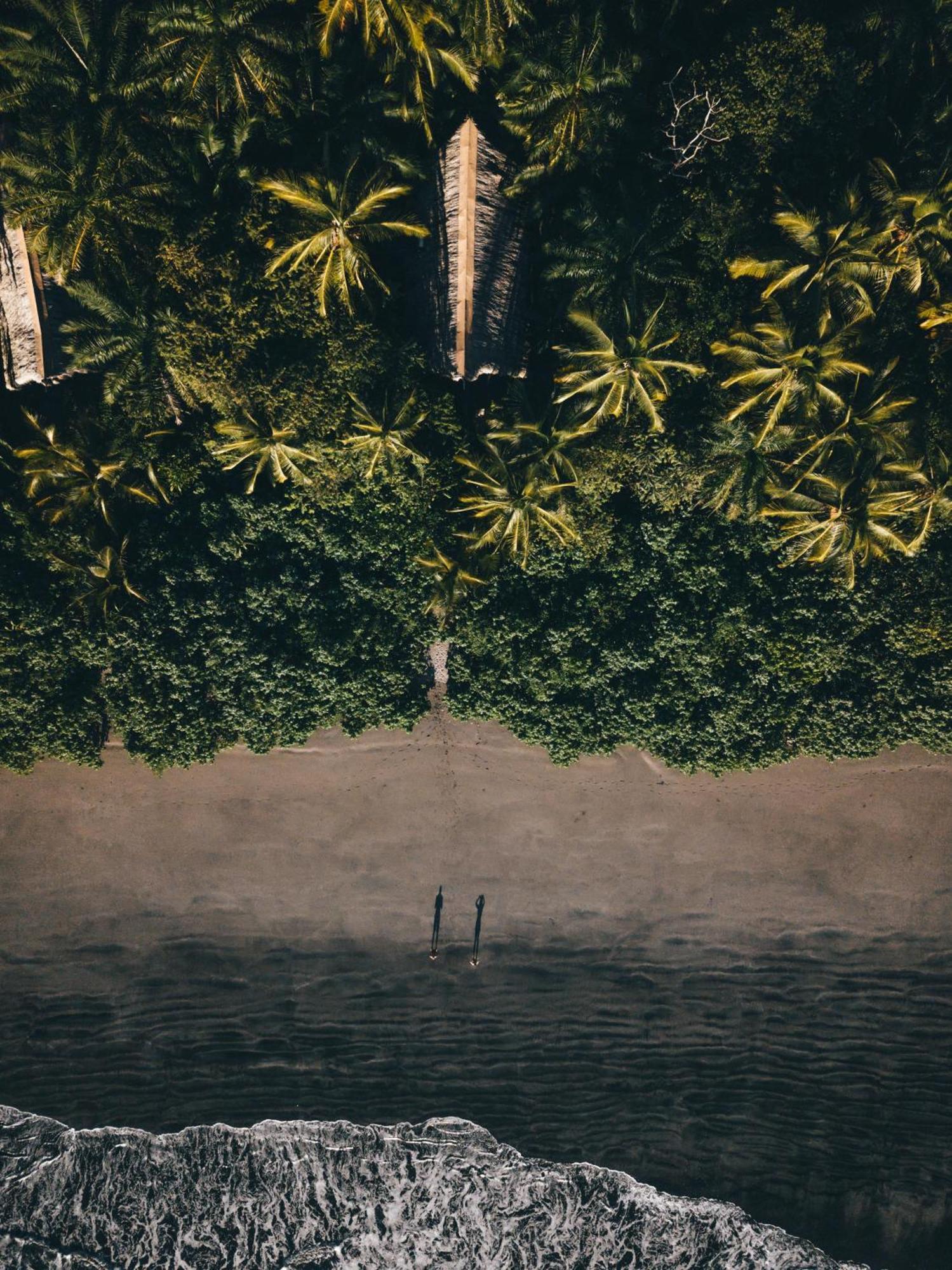 The Resort At Isla Palenque Member Of The Cayuga Collection Boca Chica Ngoại thất bức ảnh