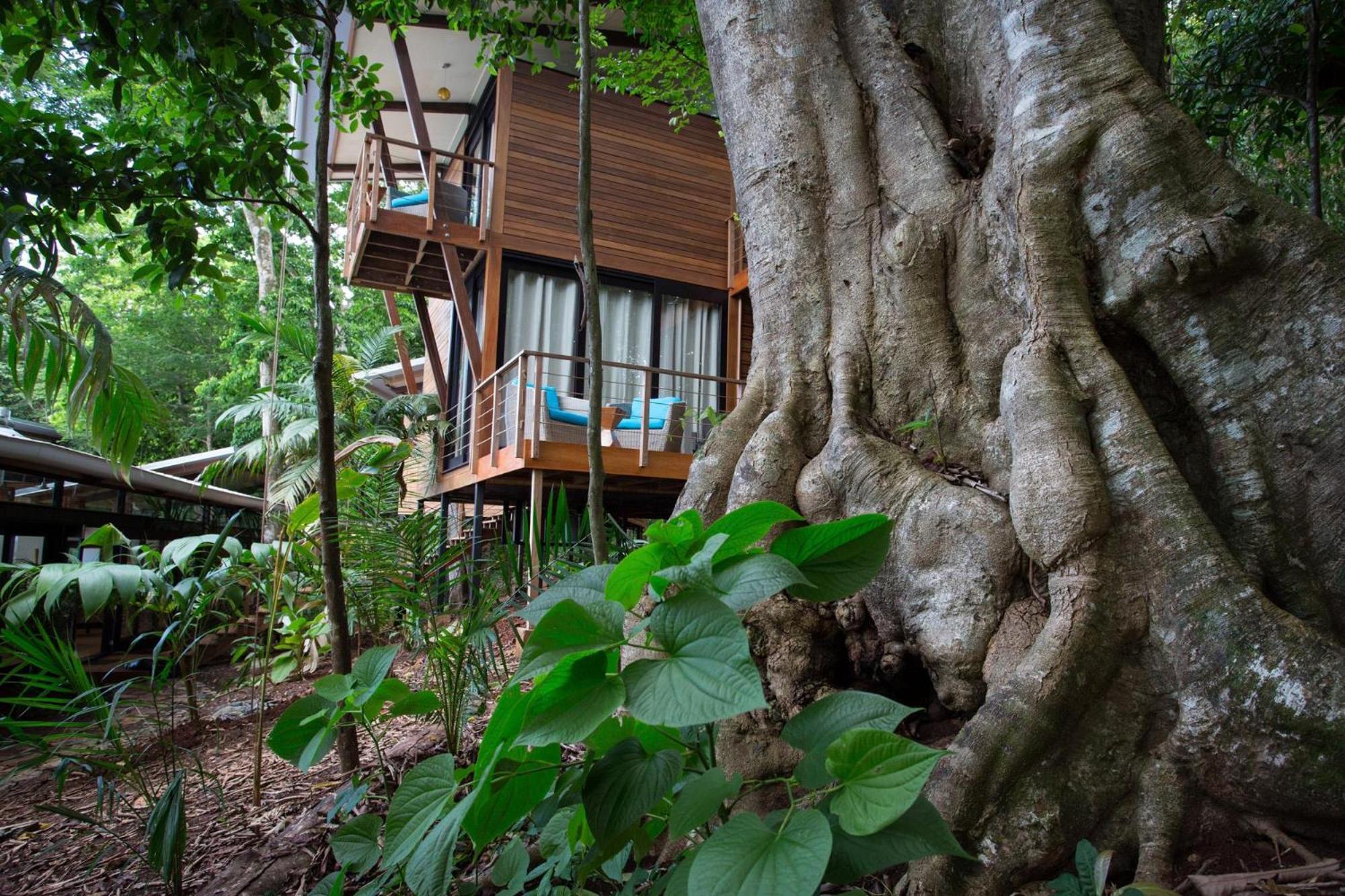 The Resort At Isla Palenque Member Of The Cayuga Collection Boca Chica Ngoại thất bức ảnh