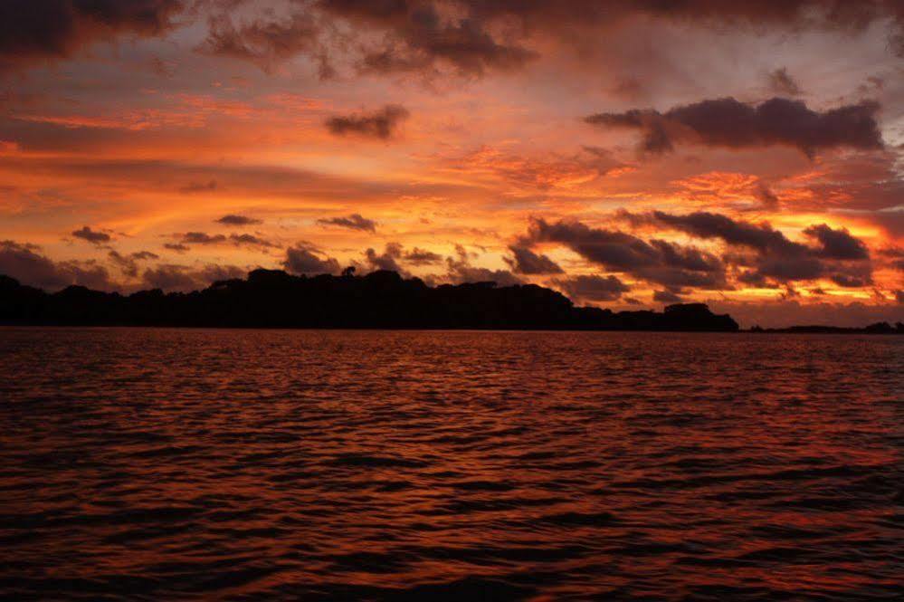 The Resort At Isla Palenque Member Of The Cayuga Collection Boca Chica Ngoại thất bức ảnh